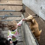 4e7ae6816e86bd6a708336f8958844a893d6e08a