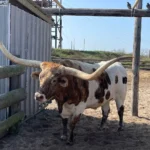 6625ff59fb8e87a7d2dd813e4ffb7e921957c013