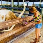 a875cf5a83b102190868b181c187978cd4a55fc6 (1)