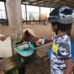 f2516ce745613841a53aa542f5651806c01d3788