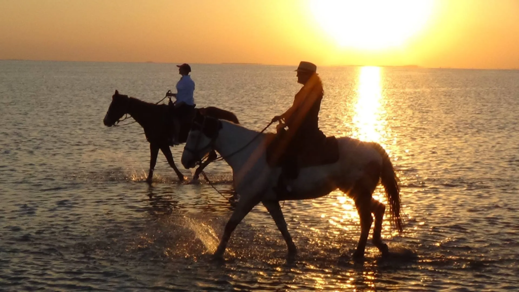 Two people horseback riding through the surf at sunset on South Padre Island