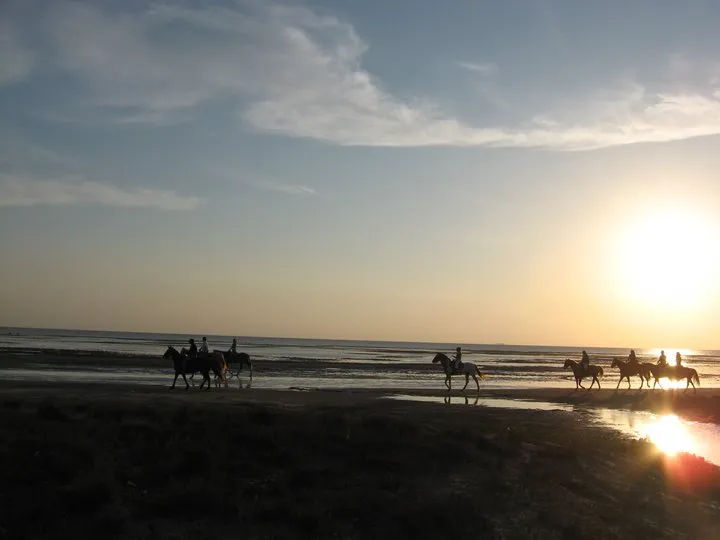 Family enjoying a pony ride at Island Adventure Park on South Padre Island