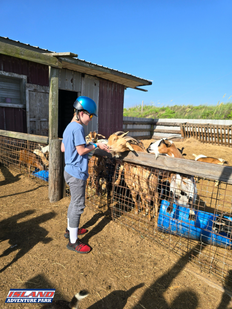 Child feeding goats at the petting barn at Island Adventure Park on South Padre Island