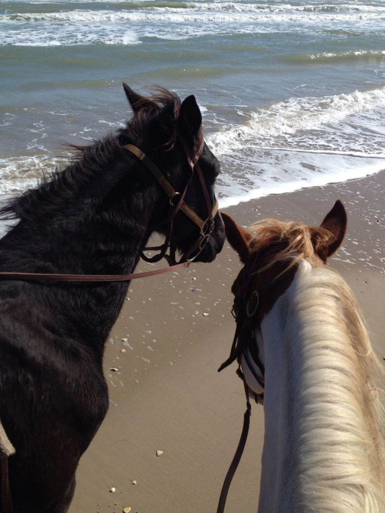 Family adventure activity on South Padre Island before school starts