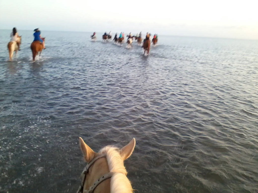 Birthday or group adventure activity at Island Adventure Park on South Padre Island