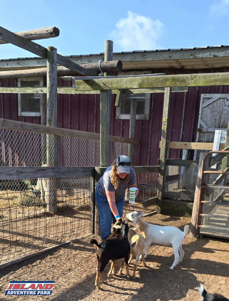 Visitor feeding goats at the petting barn at Island Adventure Park on South Padre Island