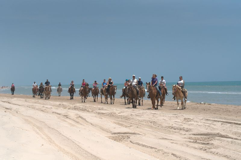 The Best Time of Year for a Beach Horseback Ride on South Padre Island