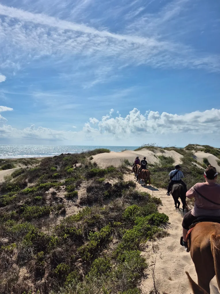 Things to Do on South Padre Island in October When the Crowds Clear Out